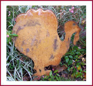 Turkey Garden Stake